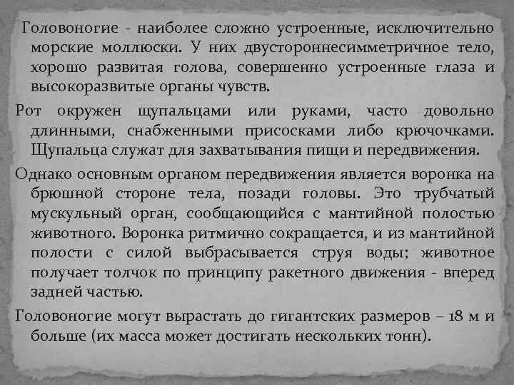 Головоногие - наиболее сложно устроенные, исключительно морские моллюски. У них двустороннесимметричное тело, хорошо Головоногие - наиболее сложно устроенные, исключительно морские моллюски. У них двустороннесимметричное тело, хорошо