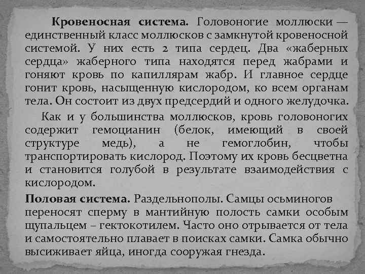 Кровеносная система. Головоногие моллюски — единственный класс моллюсков с замкнутой кровеносной системой. У Кровеносная система. Головоногие моллюски — единственный класс моллюсков с замкнутой кровеносной системой. У