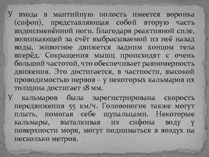У входа в мантийную полость имеется воронка (сифон), представляющая собой вторую часть видоизменённой ноги. У входа в мантийную полость имеется воронка (сифон), представляющая собой вторую часть видоизменённой ноги.