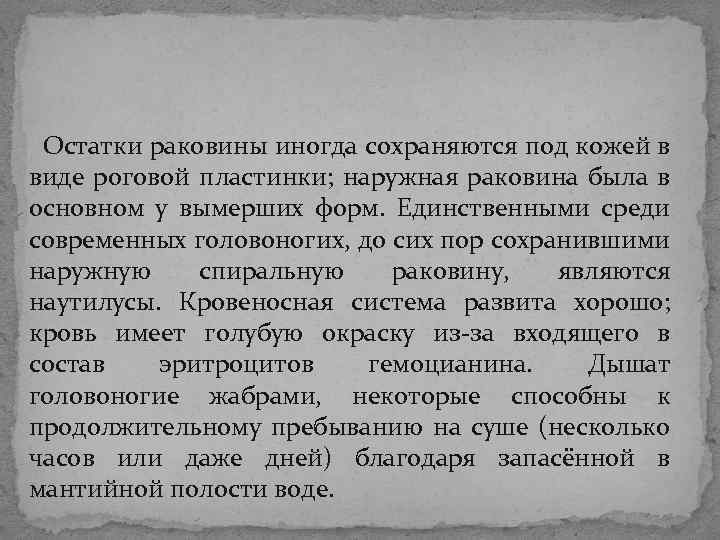 Остатки раковины иногда сохраняются под кожей в виде роговой пластинки; наружная раковина была Остатки раковины иногда сохраняются под кожей в виде роговой пластинки; наружная раковина была