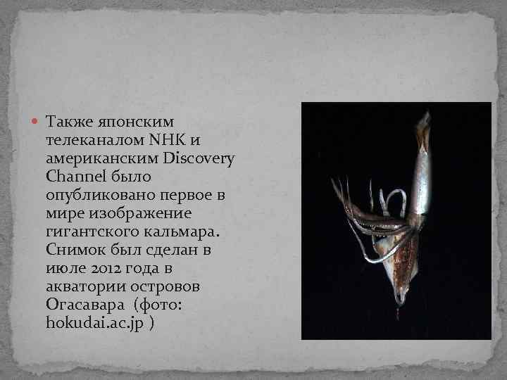 Также японским телеканалом NHK и американским Discovery Channel было опубликовано первое в мире Также японским телеканалом NHK и американским Discovery Channel было опубликовано первое в мире