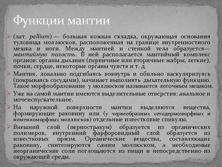 Функции мантии Ø (лат. pallium) — большая кожная складка, окружающая основания туловища моллюсков, Функции мантии Ø (лат. pallium) — большая кожная складка, окружающая основания туловища моллюсков,