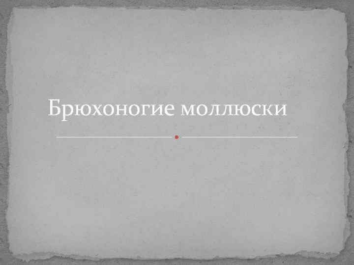 Брюхоногие моллюски Брюхоногие моллюски