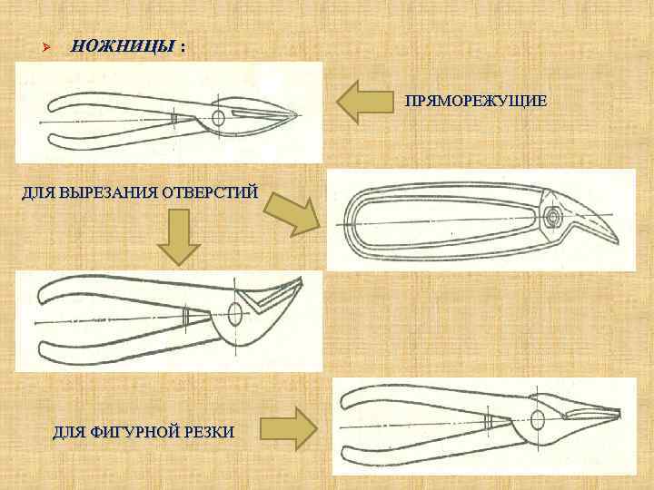 Рассмотрите рисунок и ответьте на вопросы кусачки инструмент для разрезания проводов и проволоки