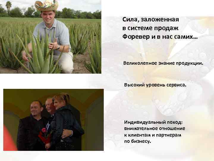 Сила, заложенная в системе продаж Форевер и в нас самих… Великолепное знание продукции. Высокий