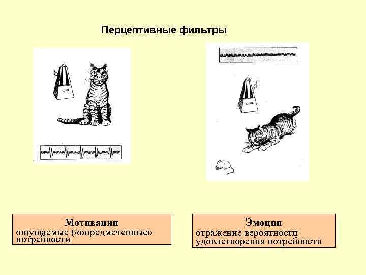 Перцептивные фильтры Мотивации ощущаемые ( «опредмеченные» потребности Эмоции отражение вероятности удовлетворения потребности 