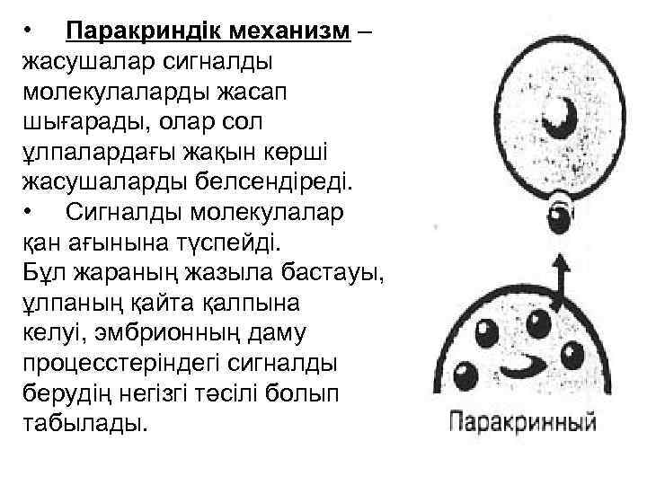  • Паракриндік механизм – жасушалар сигналды молекулаларды жасап шығарады, олар сол ұлпалардағы жақын