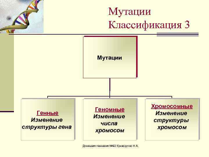 Классификация мутаций схема