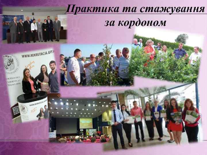 Практика та стажування за кордоном 