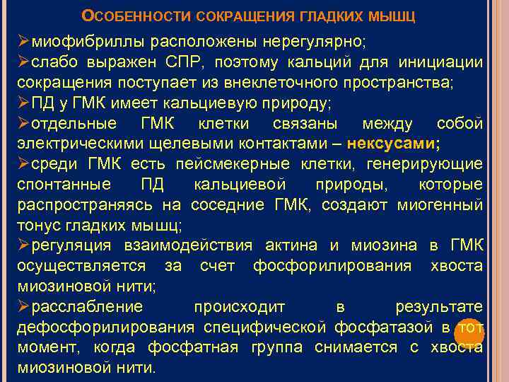 ОСОБЕННОСТИ СОКРАЩЕНИЯ ГЛАДКИХ МЫШЦ Øмиофибриллы расположены нерегулярно; Øслабо выражен СПР, поэтому кальций для инициации