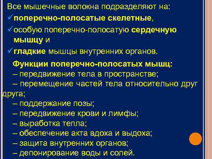 Все мышечные волокна подразделяют на: üпоперечно-полосатые скелетные, üособую поперечно-полосатую сердечную мышцу и üгладкие мышцы