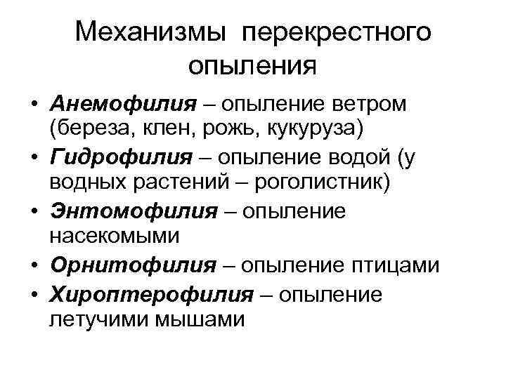 Механизмы перекрестного опыления • Анемофилия – опыление ветром (береза, клен, рожь, кукуруза) • Гидрофилия