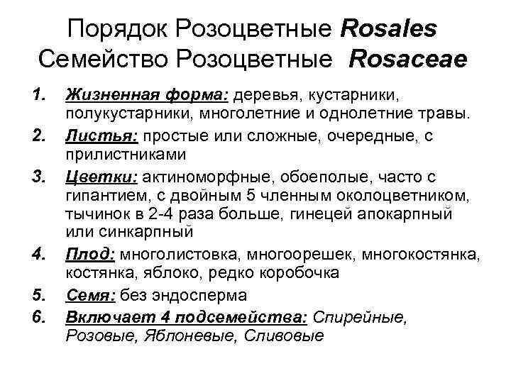 Порядок Розоцветные Rosales Семейство Розоцветные Rosaceae 1. 2. 3. 4. 5. 6. Жизненная форма: