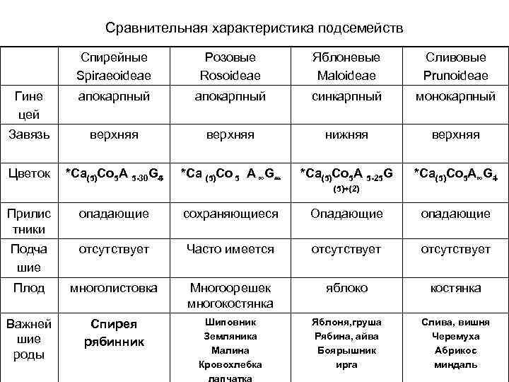 Сравнительная характеристика подсемейств Спирейные Spiraeoideae Розовые Rosoideae Яблоневые Maloideae Сливовые Prunoideae Гине цей апокарпный