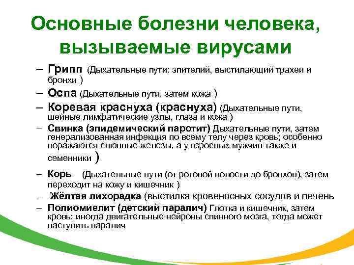 Основные болезни человека, вызываемые вирусами – Грипп (Дыхательные пути: эпителий, выстилающий трахеи и бронхи