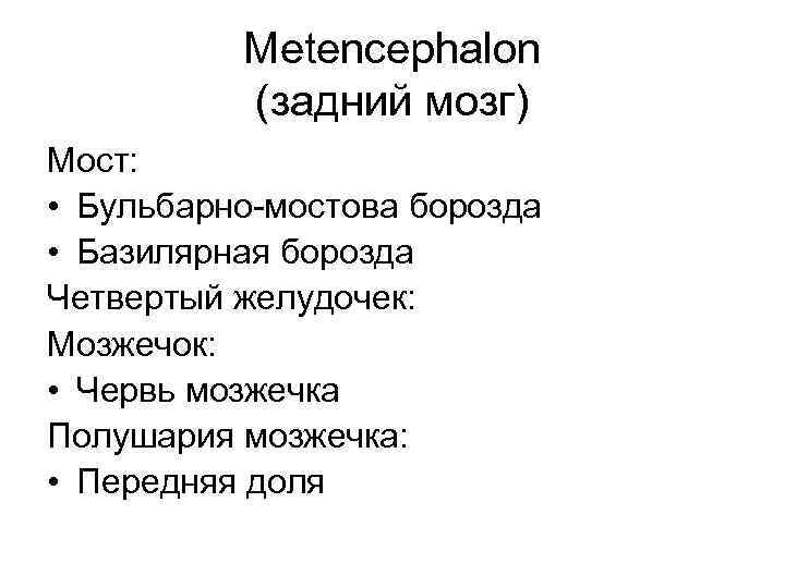 Metencephalon (задний мозг) Мост: • Бульбарно-мостова борозда • Базилярная борозда Четвертый желудочек: Мозжечок: •