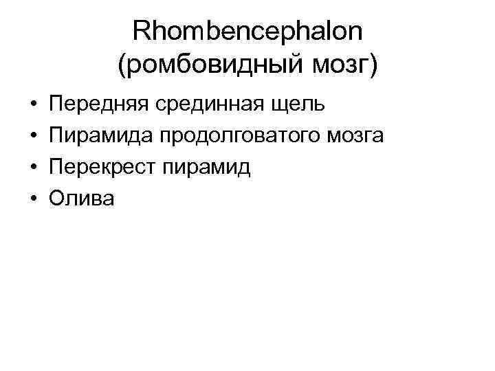 Rhombencephalon (ромбовидный мозг) • • Передняя срединная щель Пирамида продолговатого мозга Перекрест пирамид Олива