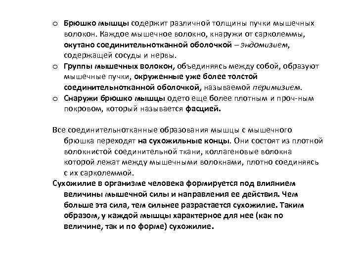 o Брюшко мышцы содержит различной толщины пучки мышечных волокон. Каждое мышечное волокно, кнаружи от