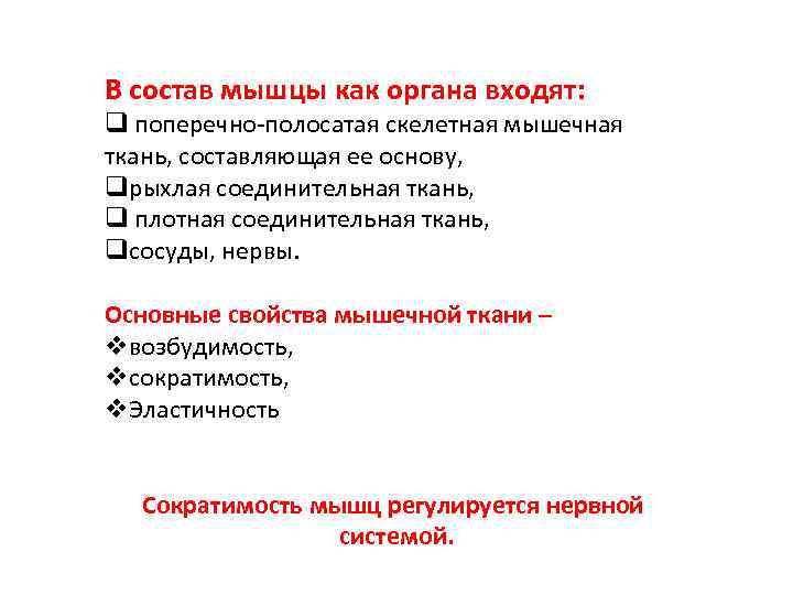 В состав мышцы как органа входят: q поперечно полосатая скелетная мышечная ткань, составляющая ее