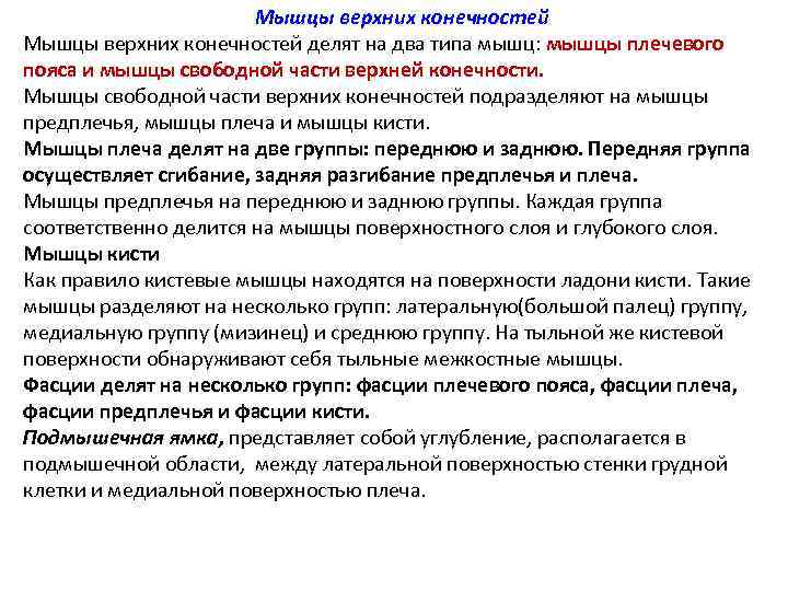 Мышцы верхних конечностей делят на два типа мышц: мышцы плечевого пояса и мышцы свободной