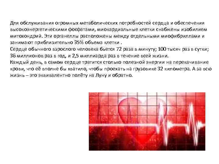 Для обслуживания огромных метаболических потребностей сердца и обеспечения высокоэнергетическими фосфатами, миокардиальные клетки снабжены изобилием