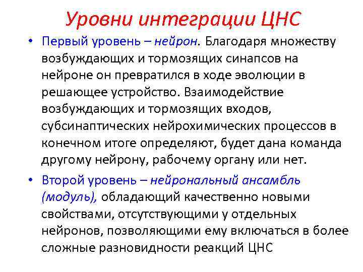 Уровни интеграции ЦНС • Первый уровень – нейрон. Благодаря множеству возбуждающих и тормозящих синапсов