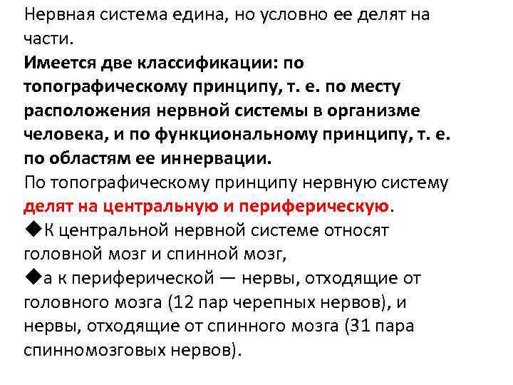 Нервная система едина, но условно ее делят на части. Имеется две классификации: по топографическому