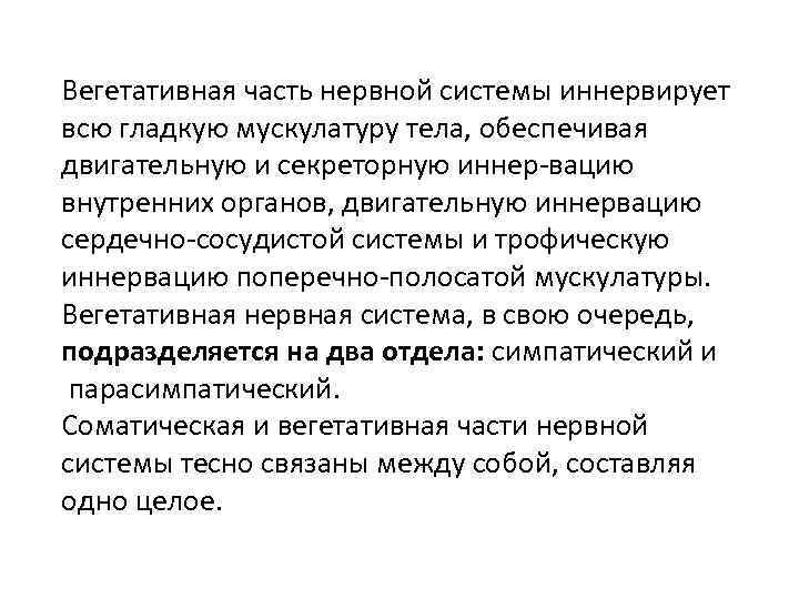 Вегетативная часть нервной системы иннервирует всю гладкую мускулатуру тела, обеспечивая двигательную и секреторную иннер