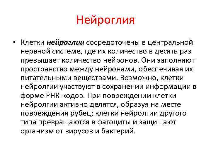 Нейроглия • Клетки нейроглии сосредоточены в центральной нервной системе, где их количество в десять