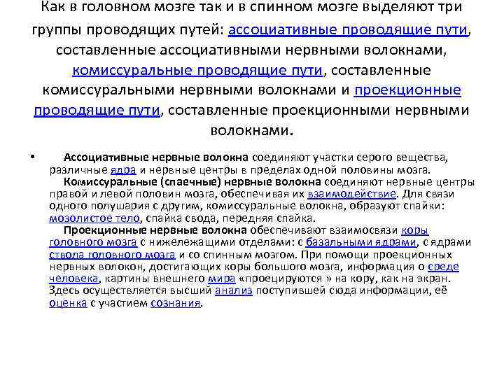  Как в головном мозге так и в спинном мозге выделяют три группы проводящих