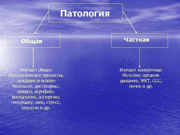 Основные патологии. Общая патология. Общая и частная патология. Частная патология изучает.