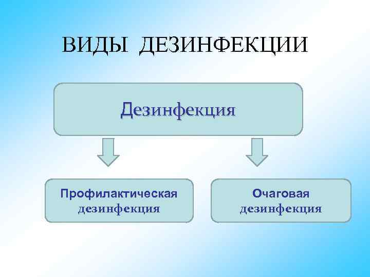 ВИДЫ ДЕЗИНФЕКЦИИ Дезинфекция Профилактическая дезинфекция Очаговая дезинфекция 