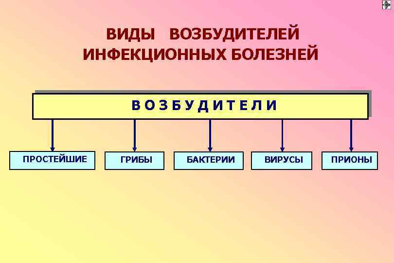 Перечислите возбудителей инфекционных болезней. Возбудители инфекционных болезней. Виды возбудителей. Типы возбудителей инфекционных заболеваний. Вида возбудителя, инфекционные болезни.