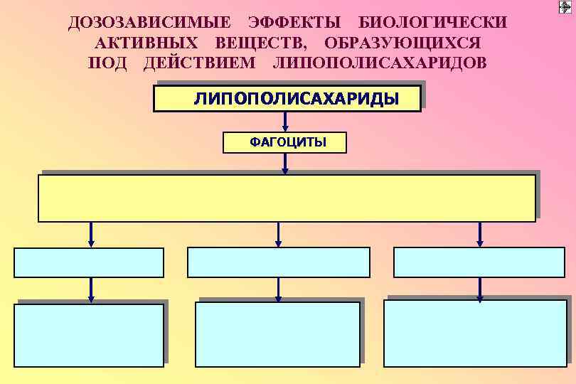 ДОЗОЗАВИСИМЫЕ ЭФФЕКТЫ БИОЛОГИЧЕСКИ АКТИВНЫХ ВЕЩЕСТВ, ОБРАЗУЮЩИХСЯ ПОД ДЕЙСТВИЕМ ЛИПОПОЛИСАХАРИДОВ ЛИПОПОЛИСАХАРИДЫ ФАГОЦИТЫ 