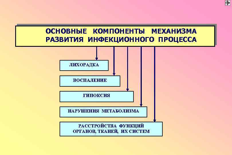 ОСНОВНЫЕ КОМПОНЕНТЫ МЕХАНИЗМА РАЗВИТИЯ ИНФЕКЦИОННОГО ПРОЦЕССА ЛИХОРАДКА ВОСПАЛЕНИЕ ГИПОКСИЯ НАРУШЕНИЯ МЕТАБОЛИЗМА РАССТРОЙСТВА ФУНКЦИЙ ОРГАНОВ,