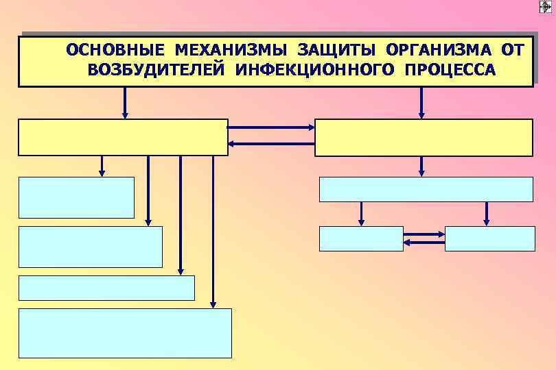 ОСНОВНЫЕ МЕХАНИЗМЫ ЗАЩИТЫ ОРГАНИЗМА ОТ ВОЗБУДИТЕЛЕЙ ИНФЕКЦИОННОГО ПРОЦЕССА 