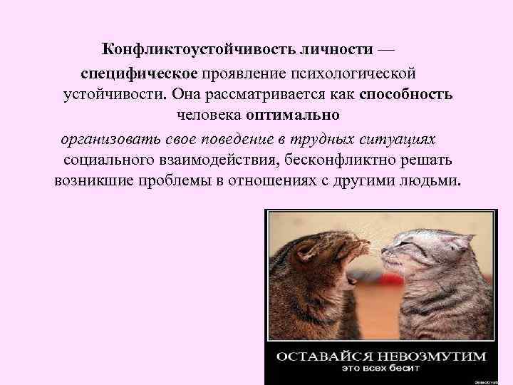 Конфликтоустойчивость личности — специфическое проявление психологической устойчивости. Она рассматривается как способность человека оптимально организовать