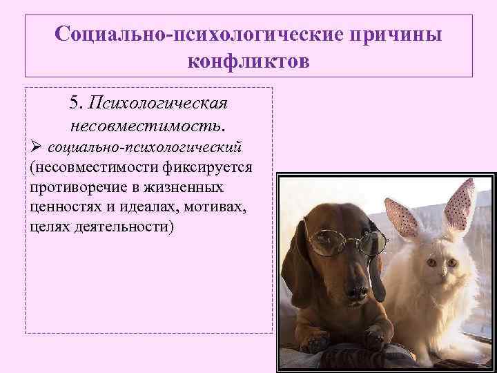 Социально-психологические причины конфликтов 5. Психологическая несовместимость. Ø социально-психологический (несовместимости фиксируется противоречие в жизненных ценностях