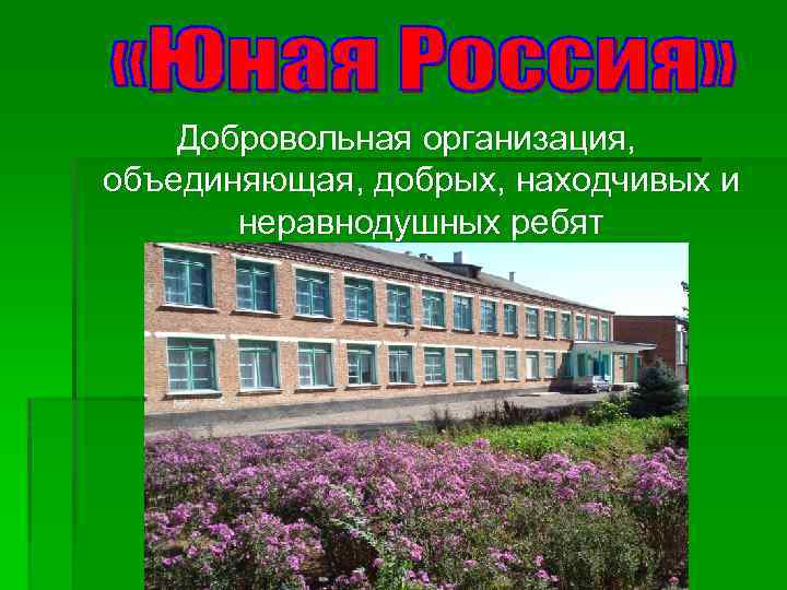 Добровольная организация, объединяющая, добрых, находчивых и неравнодушных ребят 