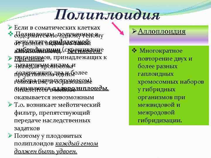  Полиплоидия Ø Если в соматических клетках Полиплоиды, полученные в v содержится по одному