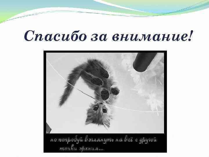 Спасибо за внимание! 