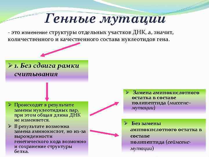  Генные мутации - это изменение структуры отдельных участков ДНК, а, значит, количественного и