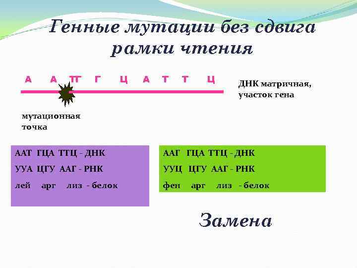  Генные мутации без сдвига рамки чтения А А ТГ Г Ц А Т