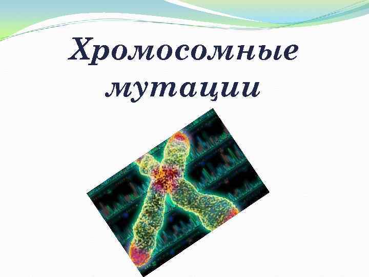 Хромосомные мутации 