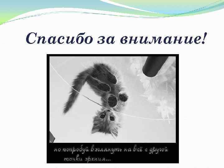 Спасибо за внимание! 