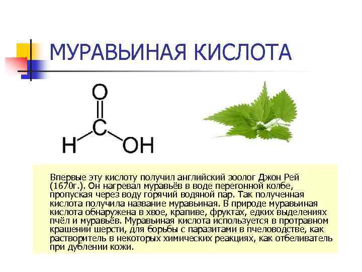 МУРАВЬИНАЯ КИСЛОТА Впервые эту кислоту получил английский зоолог Джон Рей (1670 г. ). Он