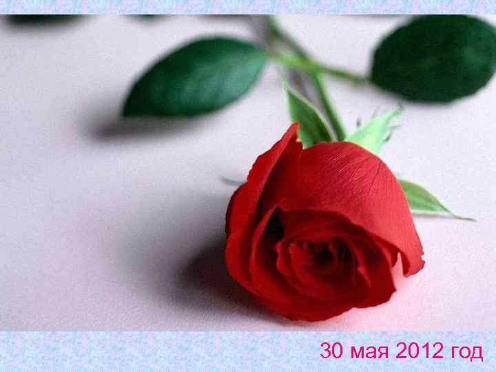 С ДНЕМ РОЖДЕНИЯ!!!! 30 мая 2012 год 