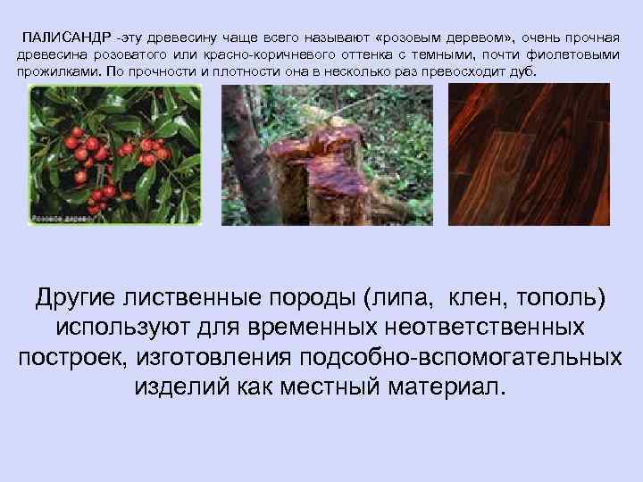 ПАЛИСАНДР -эту древесину чаще всего называют «розовым деревом» , очень прочная древесина розоватого или