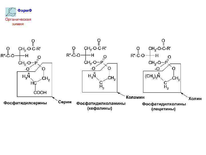 Фарм. Ф Органическая химия 