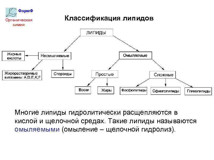 Липиды биохимия лекция презентация